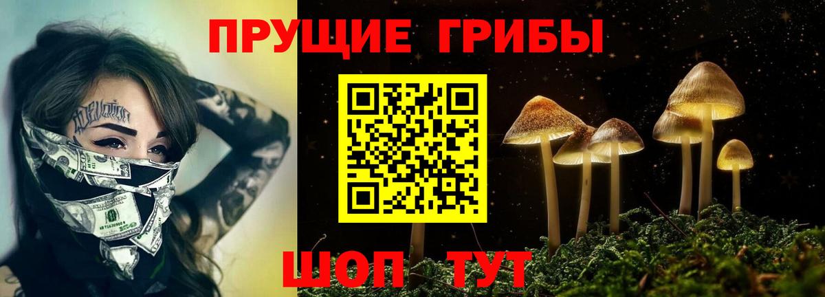 Галлюциногенные грибы ЛСД Ухта