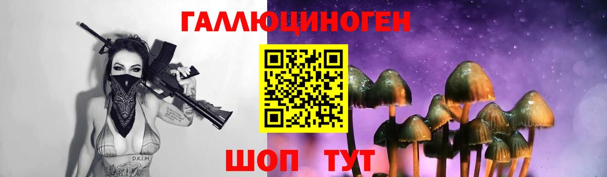 Ухта  Псилоцибиновые грибы прущие грибы  Вход с VPN 